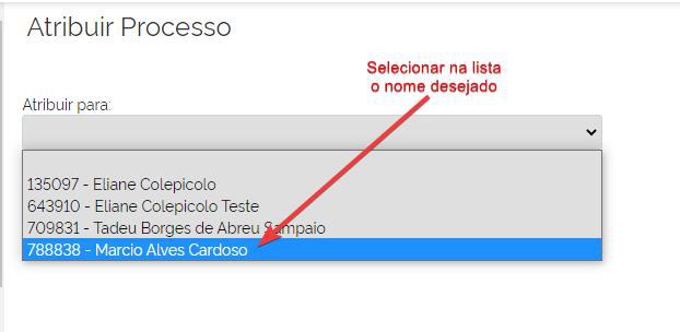 atribuir-processo-selecionar.jpg