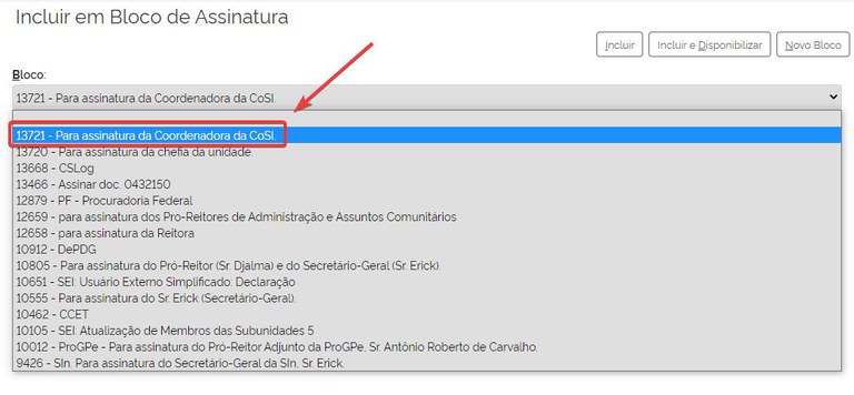 bloco-assinatura-selecionar-bloco.jpg