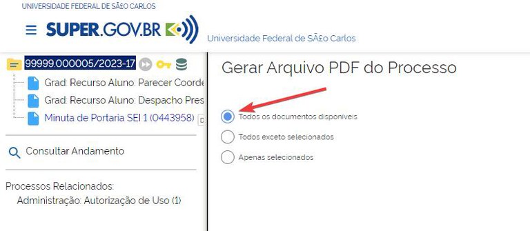 gerar-pdf-processo-02.jpg