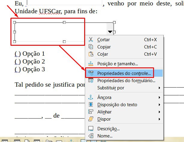 libre-office-writer-10-formulario-campo-abrir-propriedades.jpg