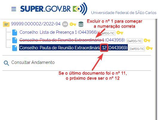 numeracao-documentos-conselhos-criados-excluir-numero-1-criar-numero-correto.jpg