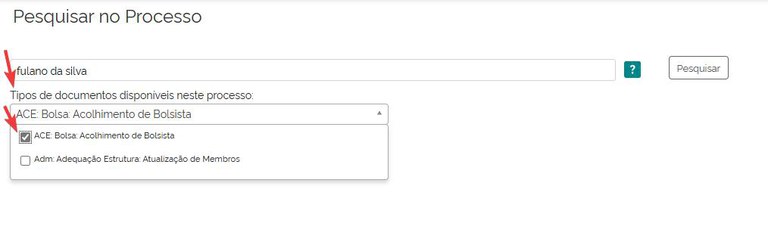 pesquisa-dentro-processo-03-selecionar-tipos-documentos.jpg
