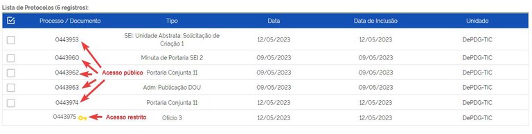 sei-publico-16-documentos-acesso-publico-restrito.jpg