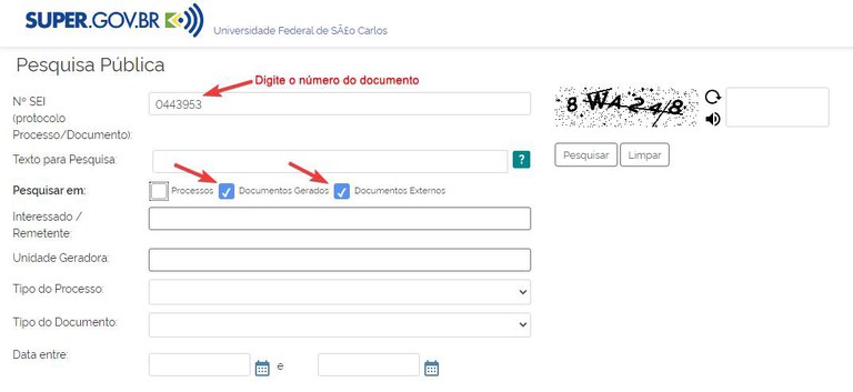 sei-publico-17-documentos-teste-pesquisa-publica.jpg